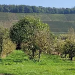 Weingut Raevenhof Guest house Ayl
