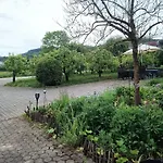 Weingut Raevenhof 3* Ayl