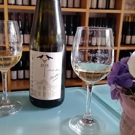 Konukevi Weingut Raevenhof *