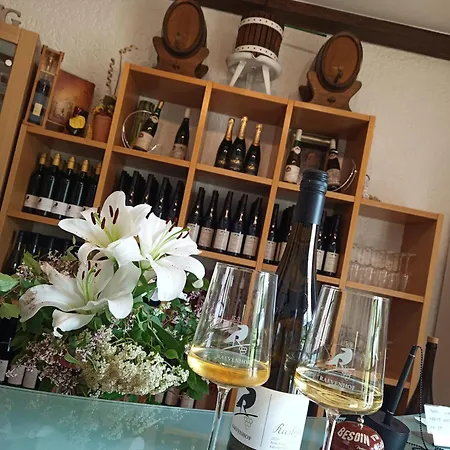 Weingut Raevenhof 招待所 4*
