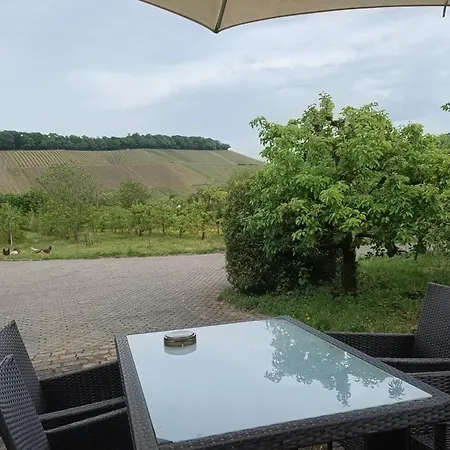 Weingut Raevenhof Pensión 4*