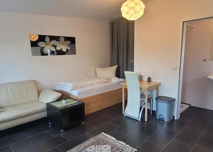 Weingut Raevenhof Gæstehus 3*