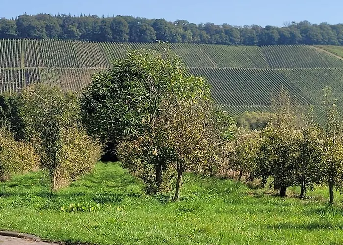 Weingut Raevenhof Vendégház Ayl